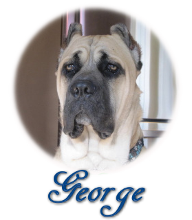 CLICK HERE TO SEE MORE OF GEORGE