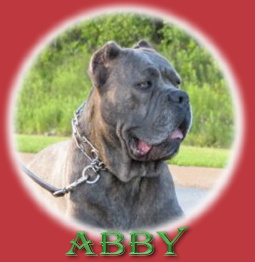CLICK HERE TO SEE MORE OF ABBY