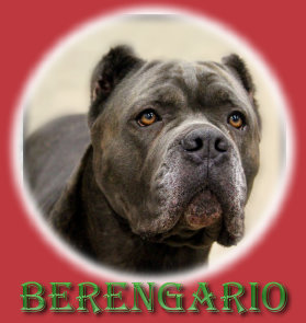 CLICK HERE TO SEE MORE OF BERENGARIO
